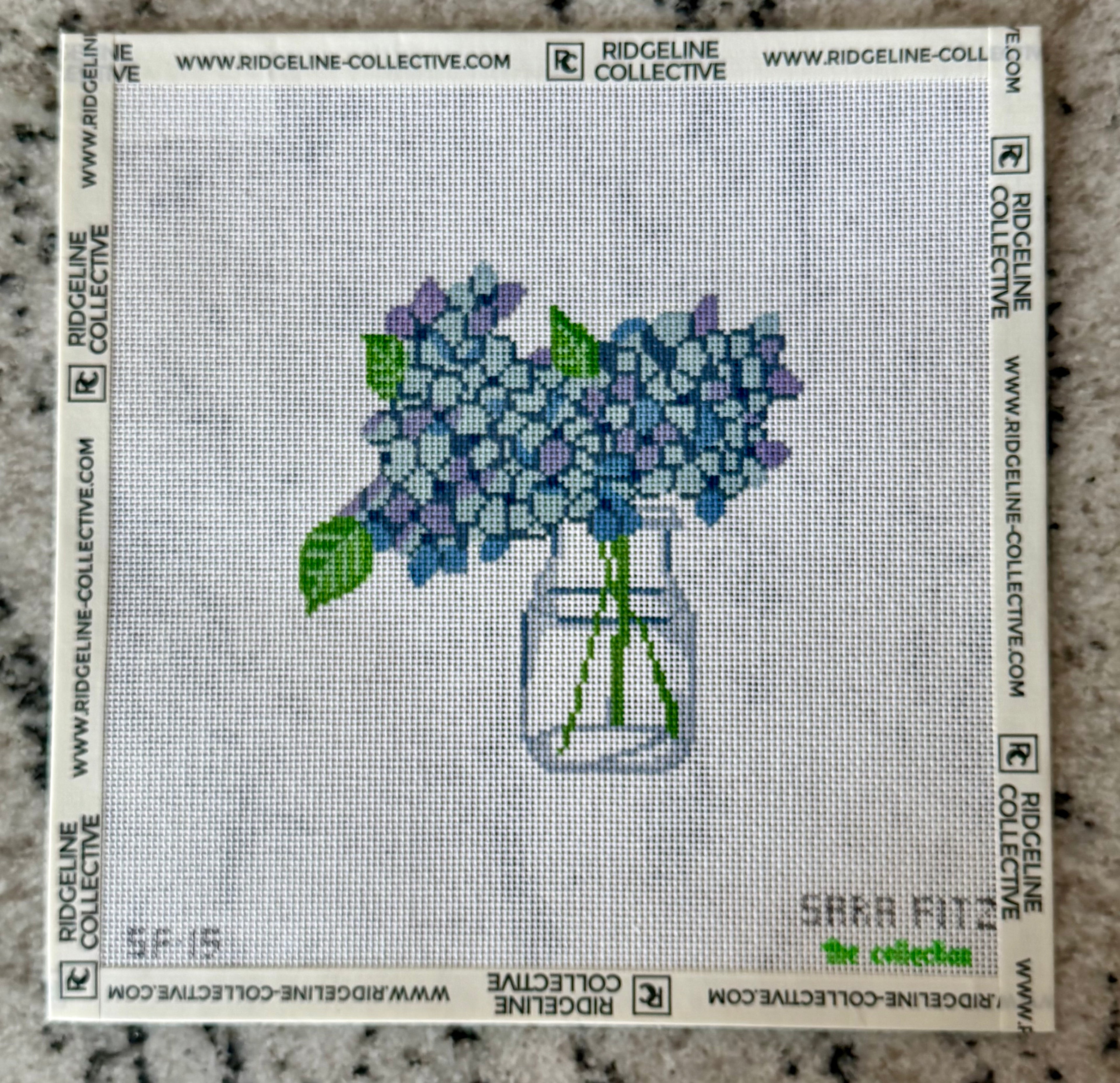 Hydrangea