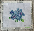 Hydrangea Bloom