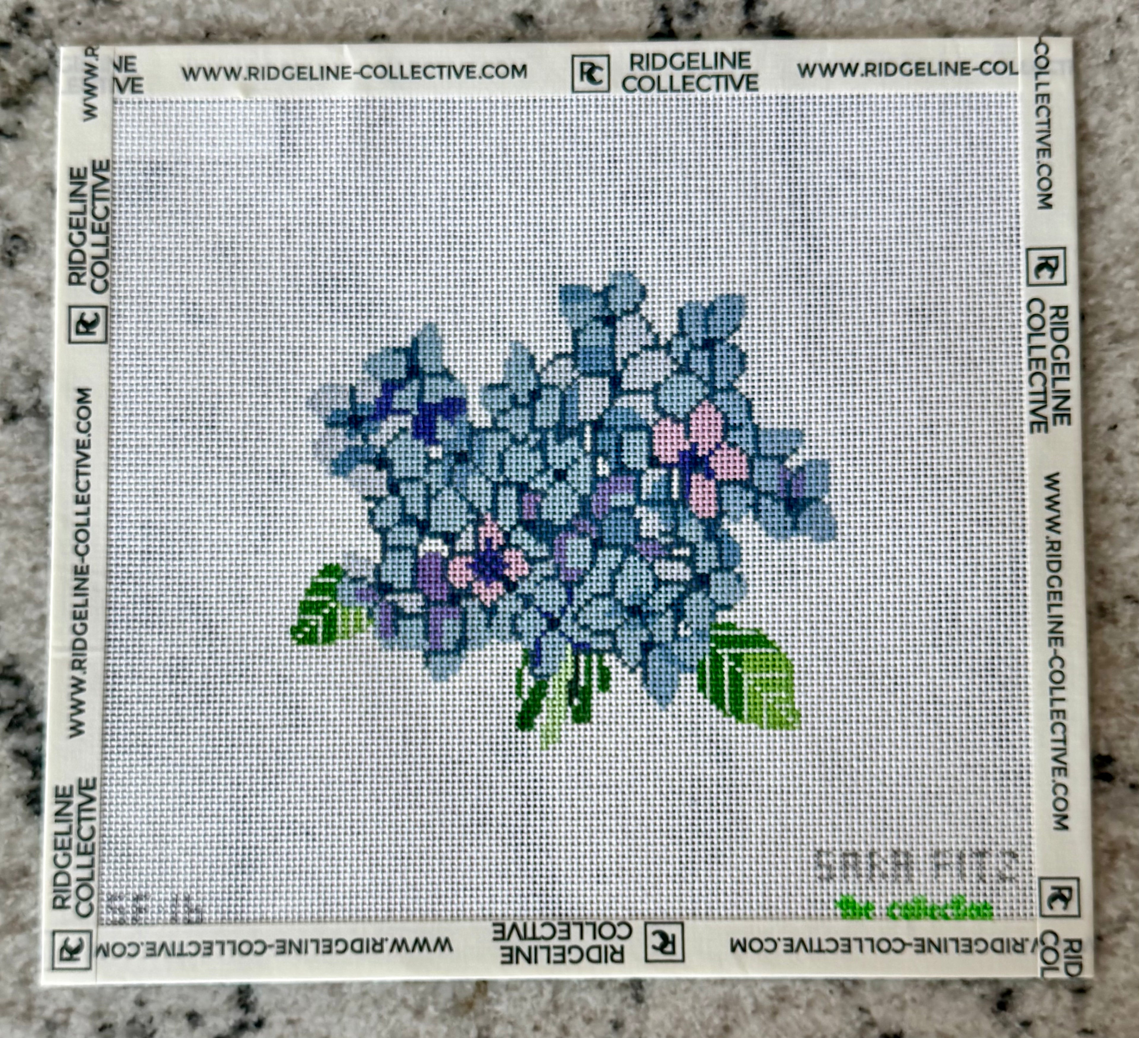 Hydrangea Bloom