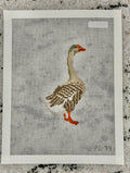 Toulouse Goose