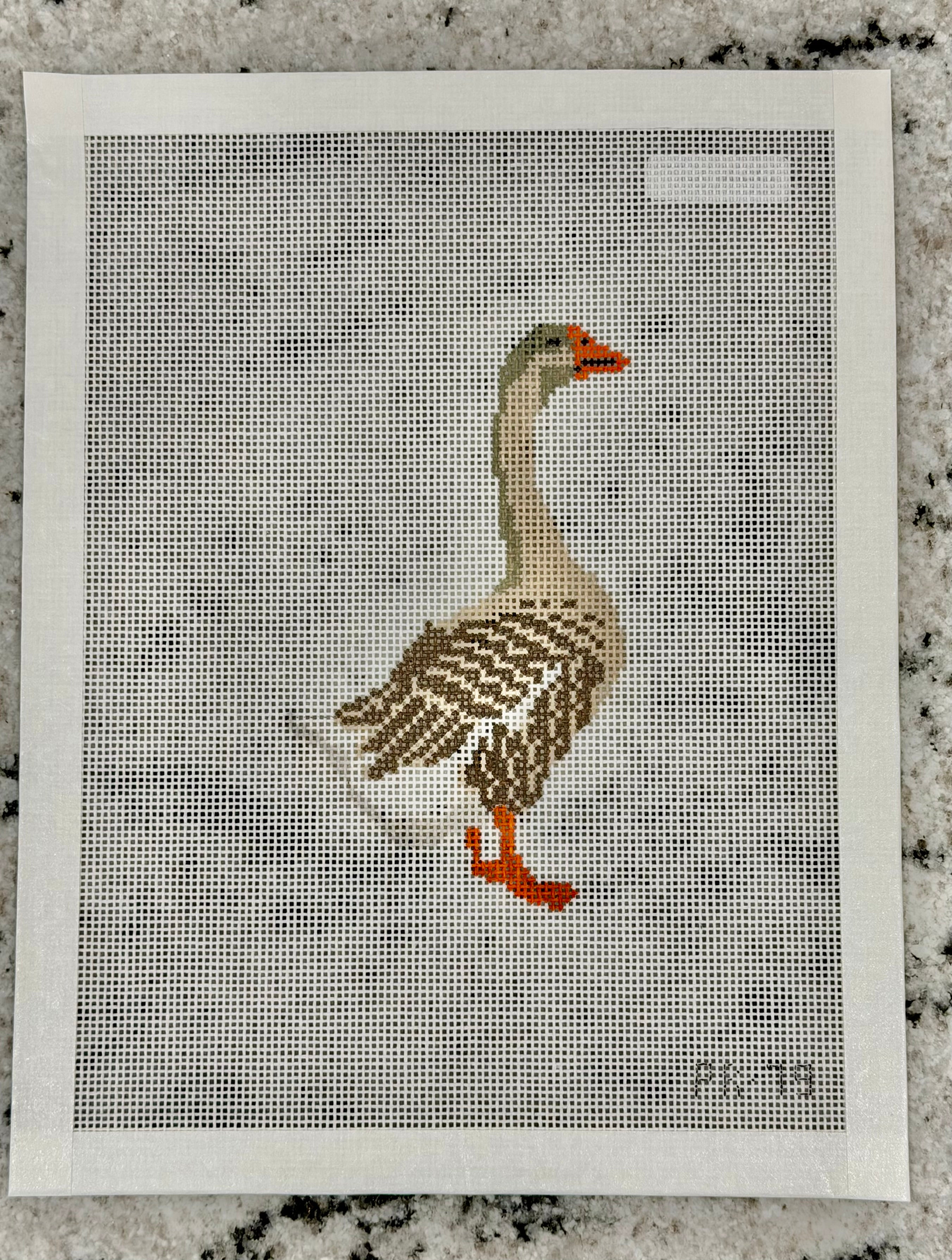 Toulouse Goose