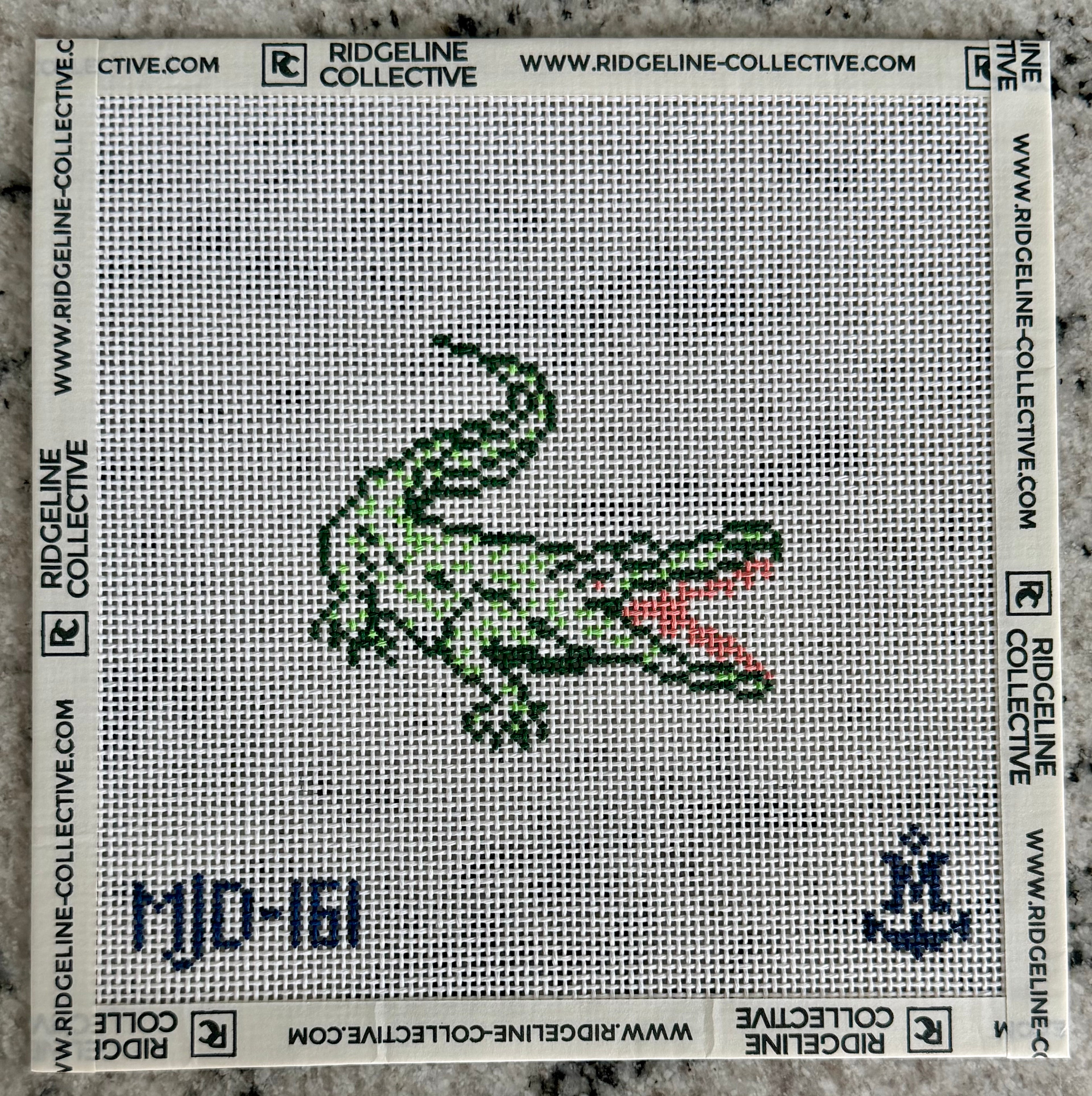 Florida Alligator