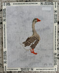 Toulouse Goose