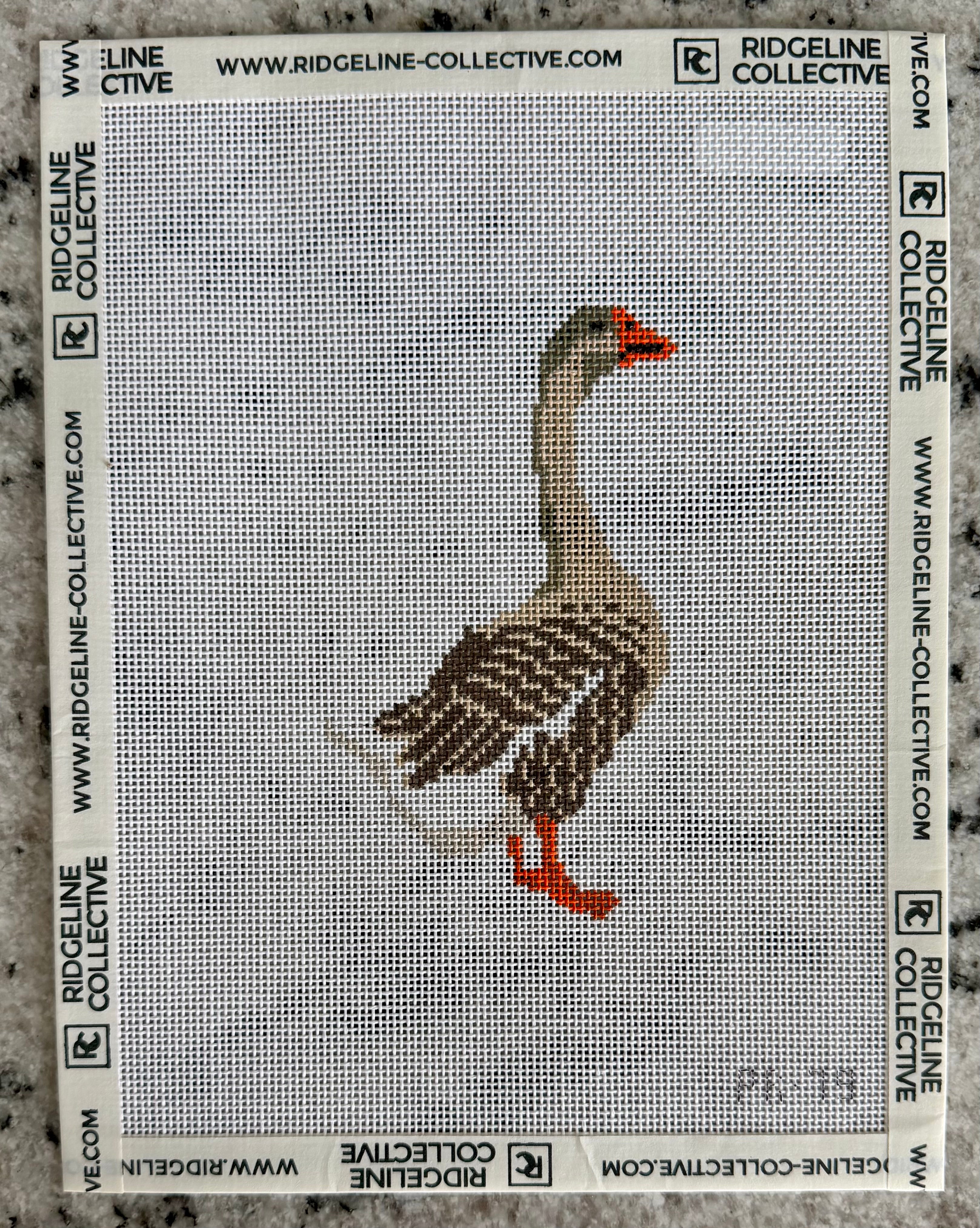 Toulouse Goose