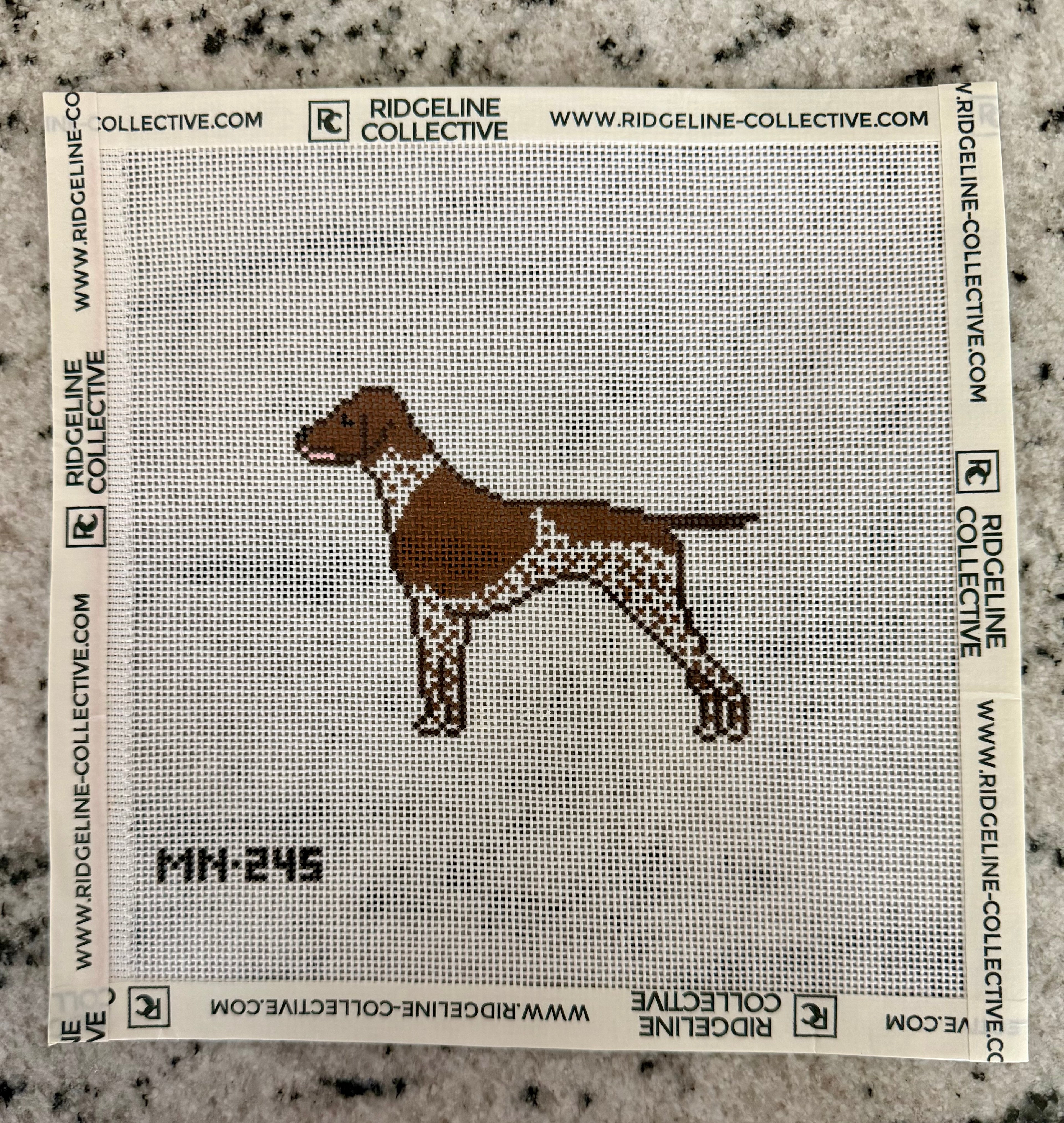 German Shorthaired Pointer GSP