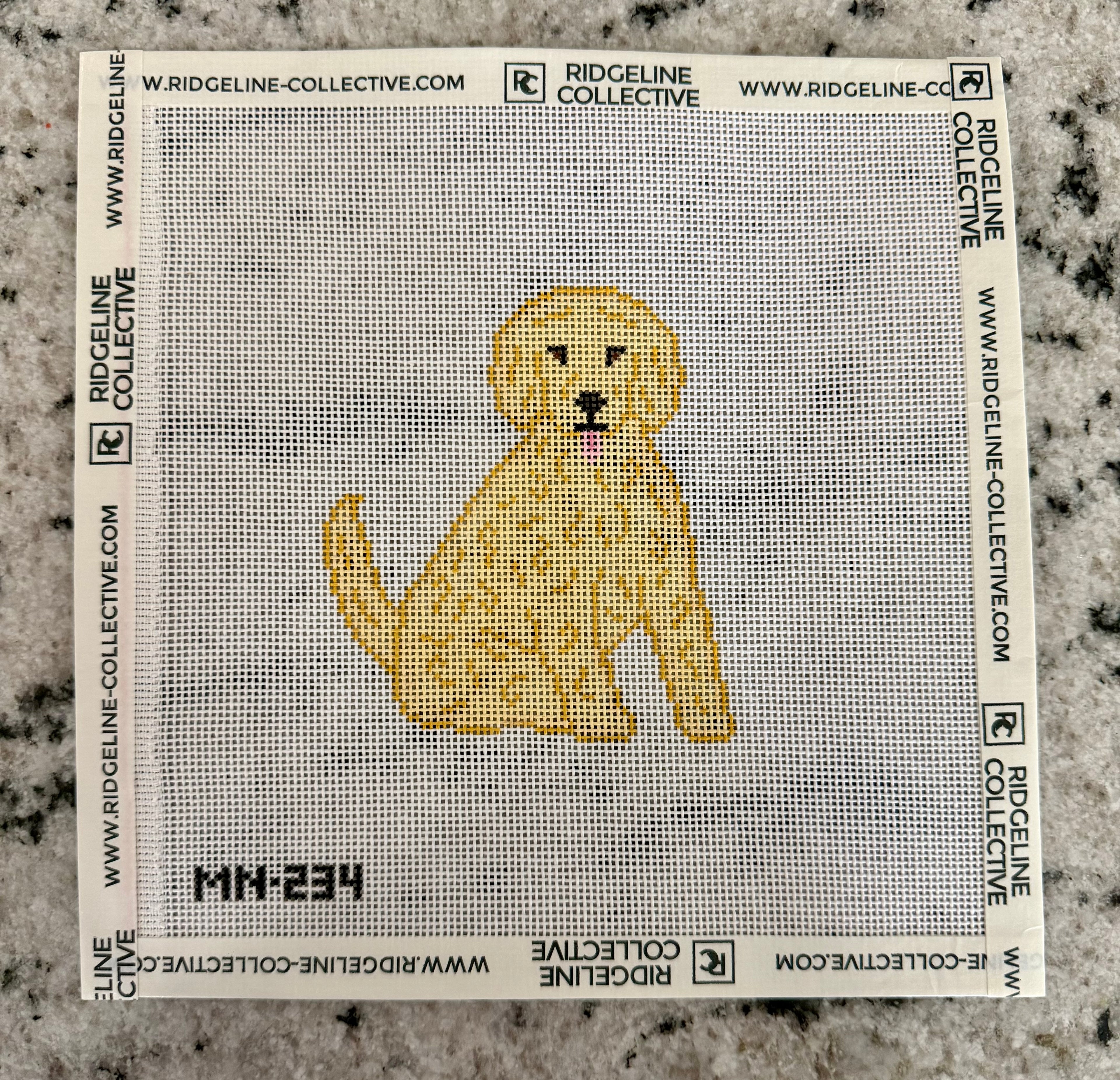 Blonde Doodle/Poodle