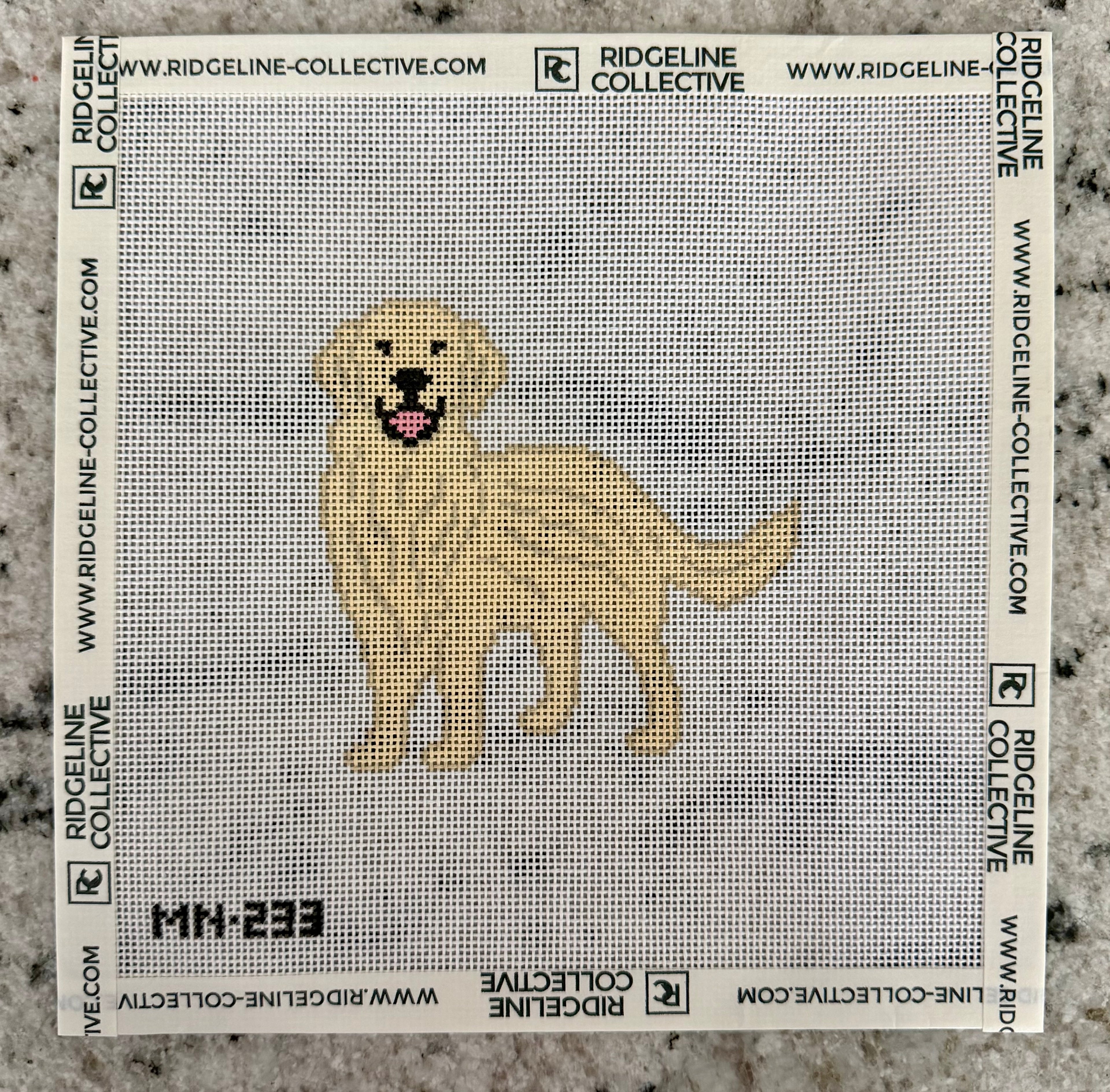 English Cream Golden Retriever