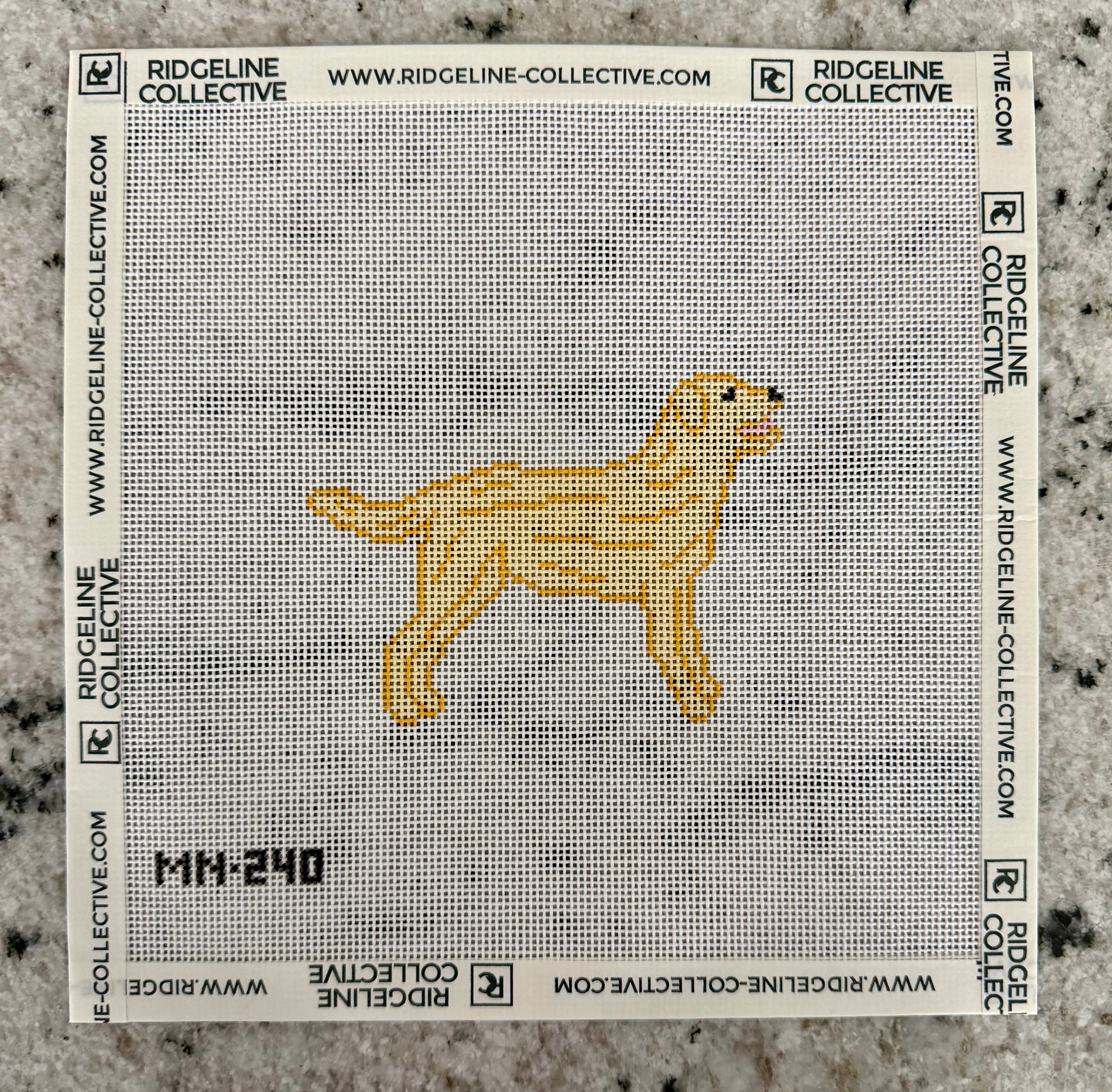 Yellow Labrador Retriever