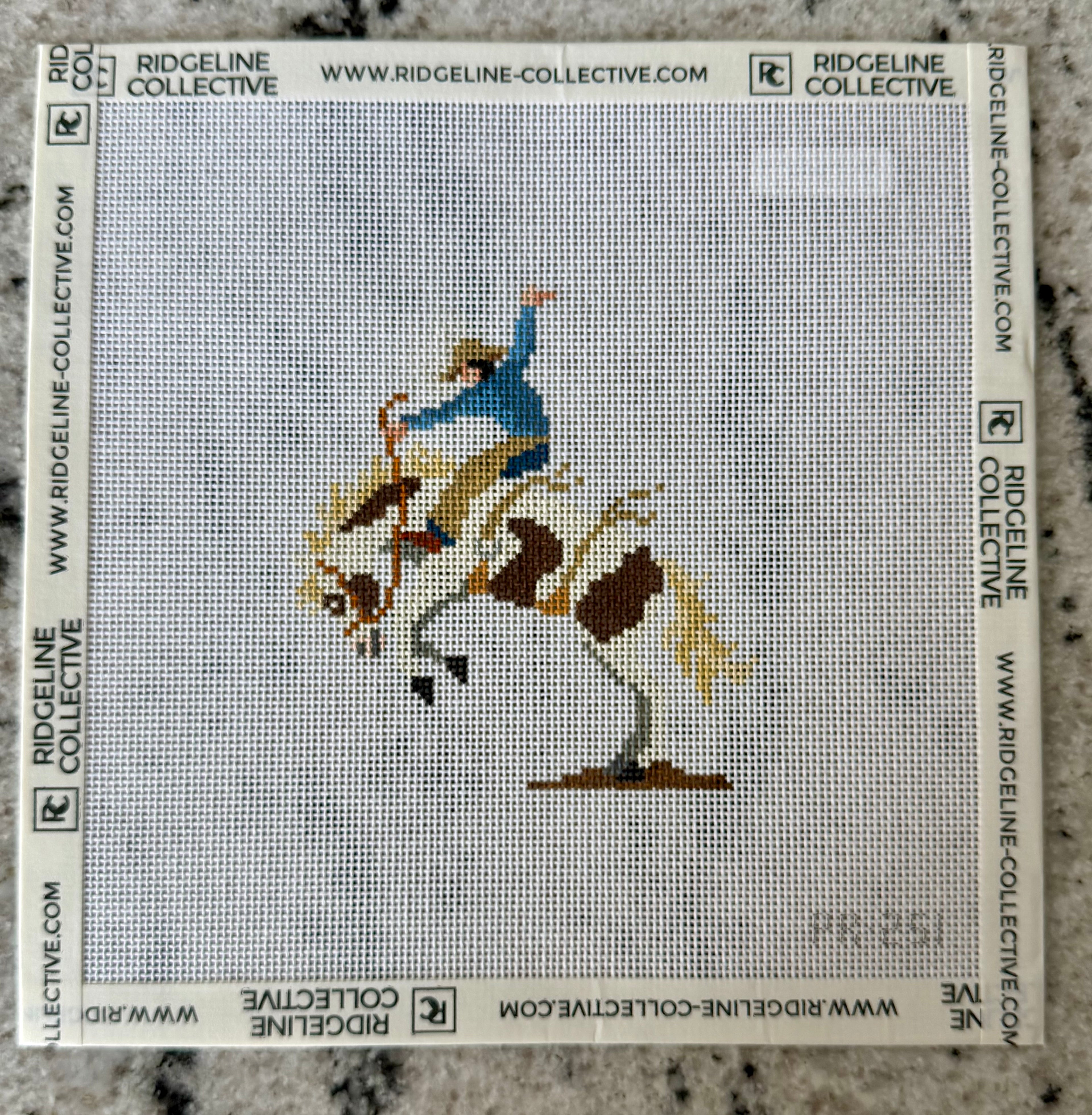 Bronco Buster