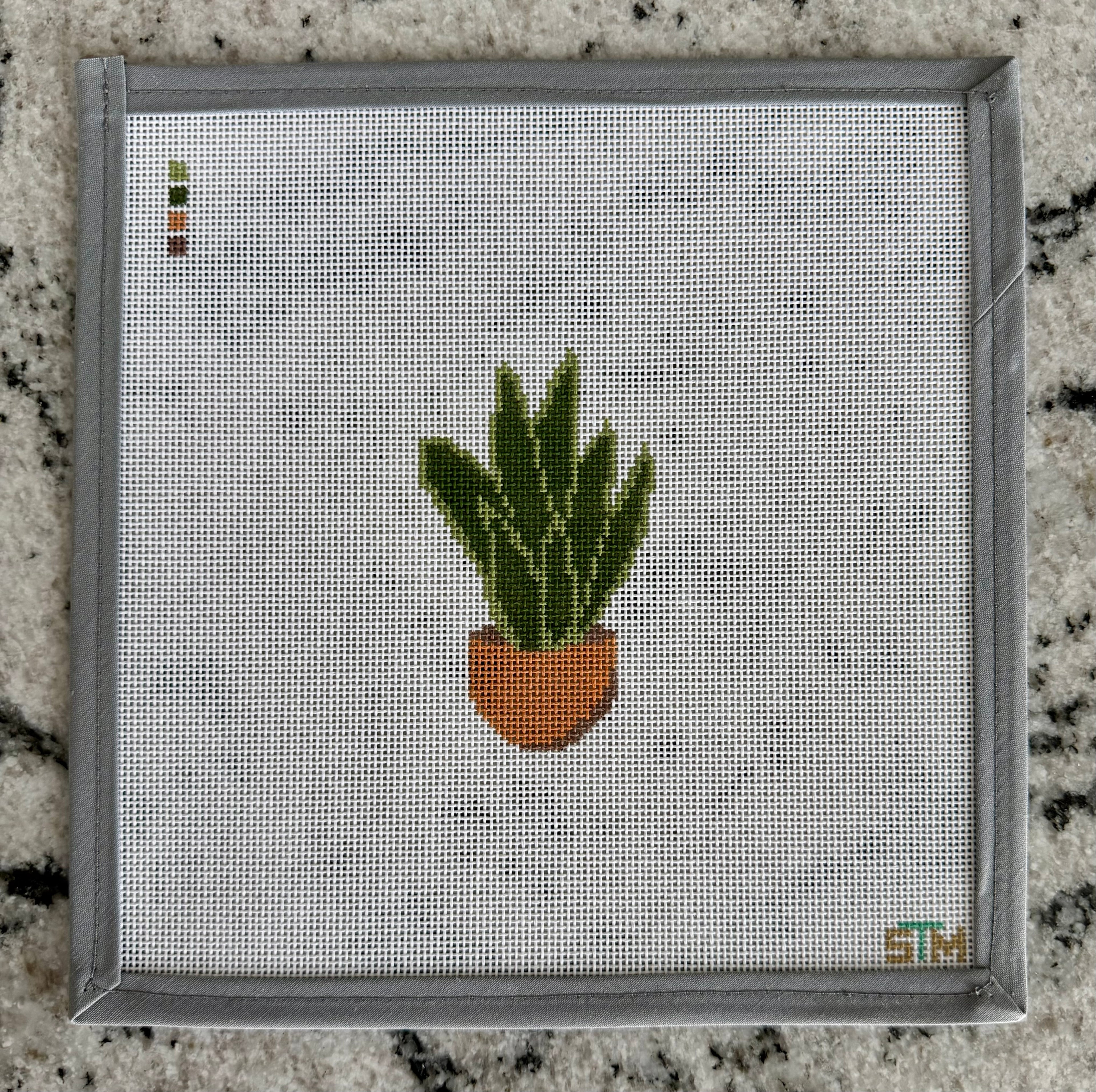 Snake Plant